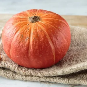 Red Pumpkin