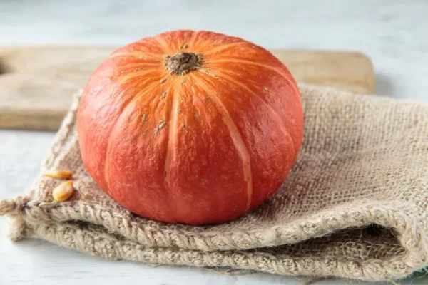 Red Pumpkin