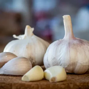 Garlic
