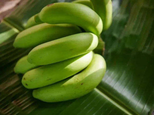 Green Banana