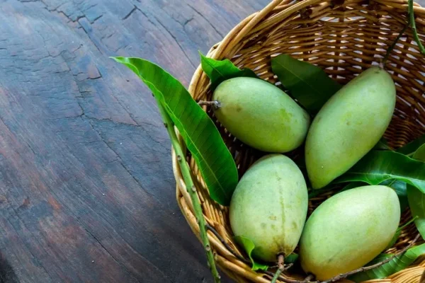 Green Mango
