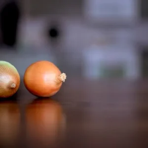 Small Onion (55mm)