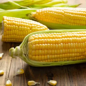 Sweet Corn